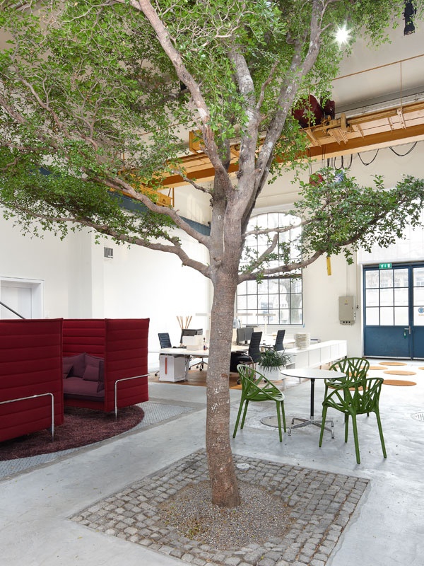 文件柜|实木文件柜|办公火狐官方网站|火狐HUOHU（中国）火狐官方网站|活动卷帘柜